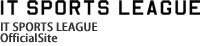 IT SPORTS LEAGUE